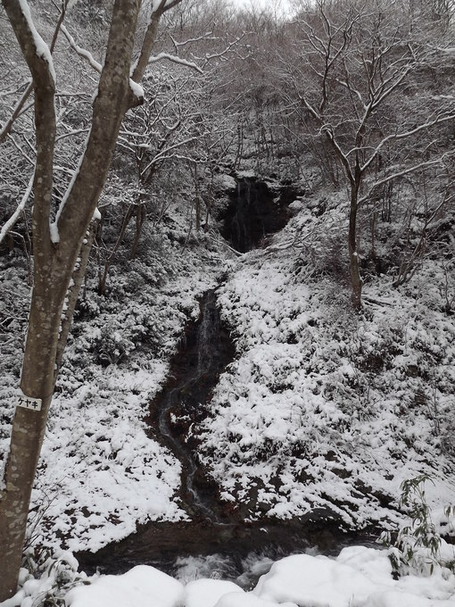 img_20131212-112724.jpg