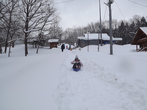 img_20140212-084744.jpg