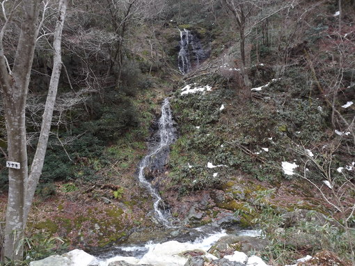 img_20140301-181116.jpg