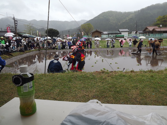 img_20140506-115750.jpg