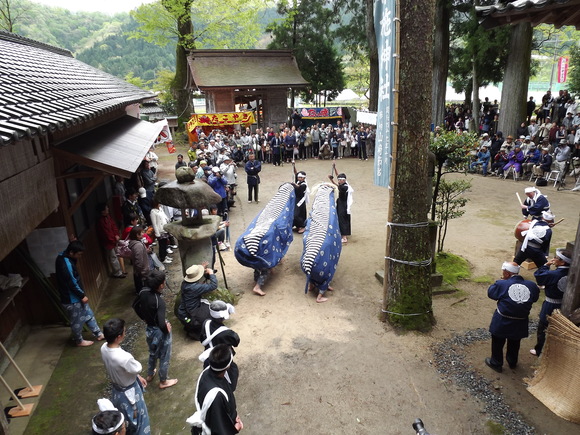 img_20140506-115945.jpg