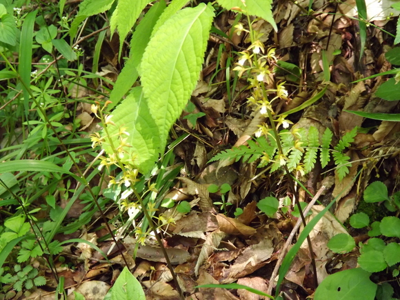 img_20140514-053158.jpg
