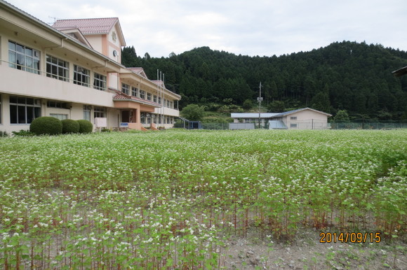 img_20140917-093345.jpg