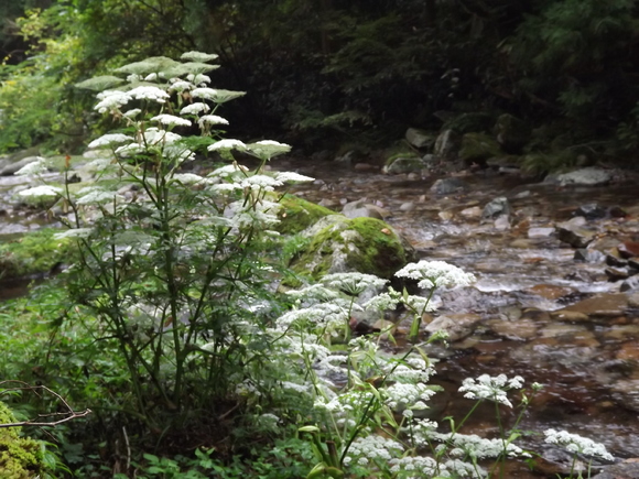 img_20141002-104912.jpg