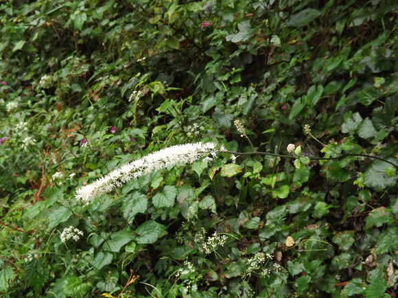 img_20141002-104932.jpg