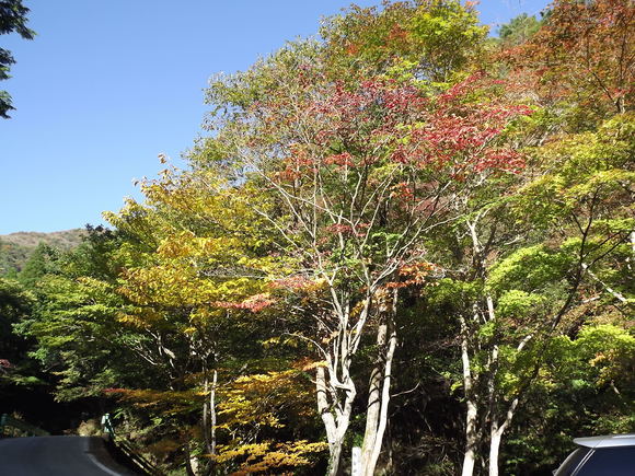 img_20141024-195131.jpg