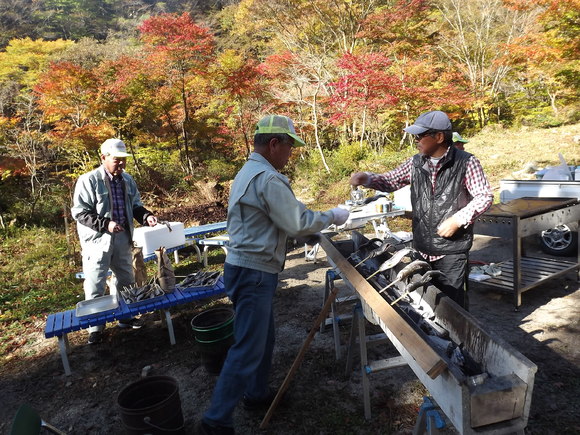 img_20141106-052129.jpg