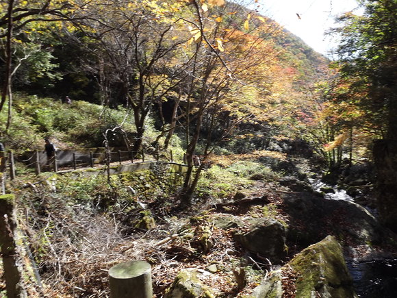 img_20141106-052350.jpg