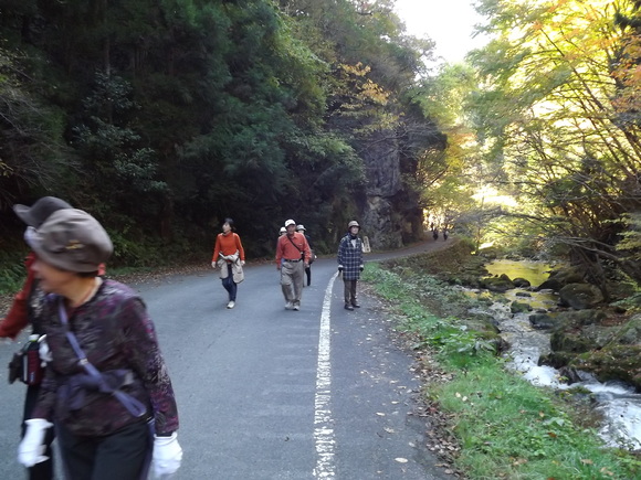 img_20141106-052419.jpg