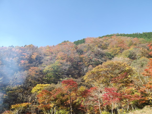 img_20141106-053510.jpg