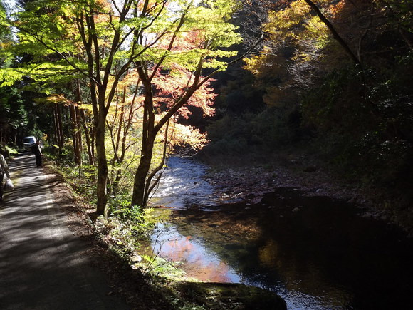img_20141106-053800.jpg