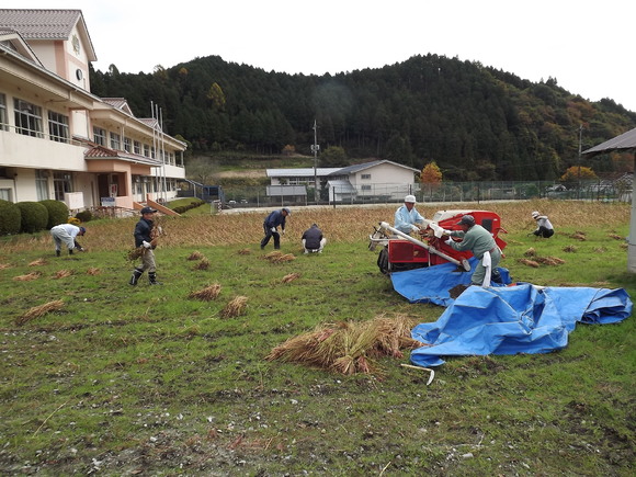 img_20141106-131015.jpg