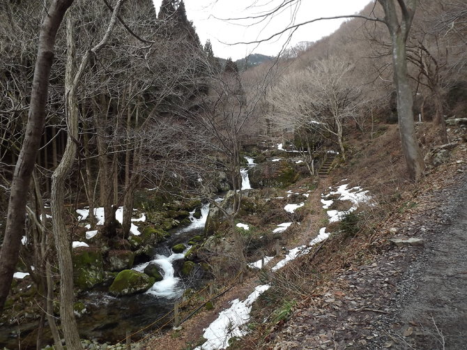 img_20150308-091547.jpg
