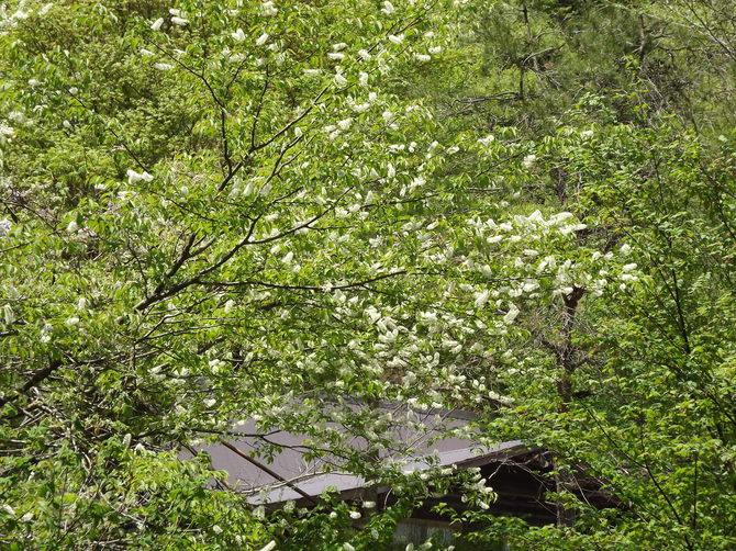 img_20150502-115554.jpg