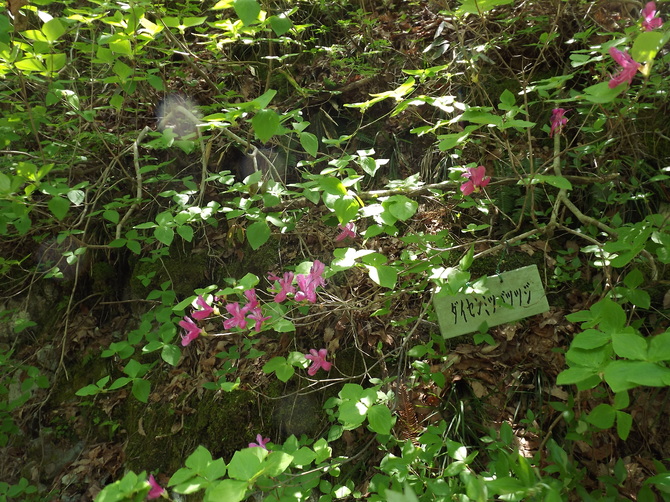 img_20150502-120143.jpg