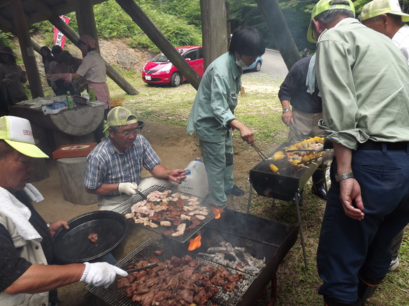 img_20150720-190658.jpg