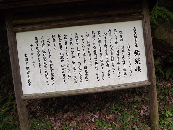 img_20160612-122555.jpg