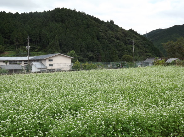 img_20160915-200411.jpg