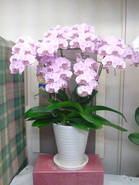 img_20111108-015014.jpg