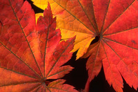 img_20130910-122402.jpg