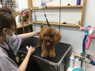 だいぶん上手くなりましたね(^▽^)/