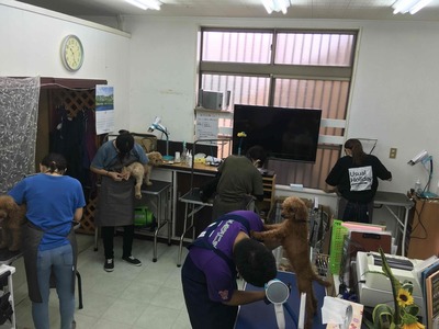 今日は検定試験日