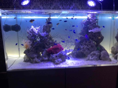 水景デザイナー検定試験作品
