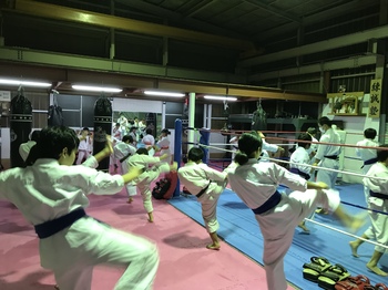 火曜はジュニア