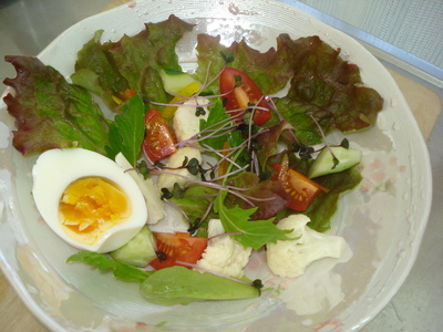 野菜サラダ１