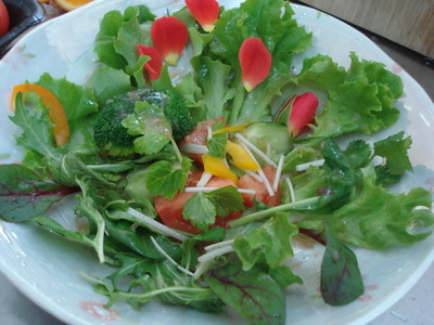 野菜サラダ３