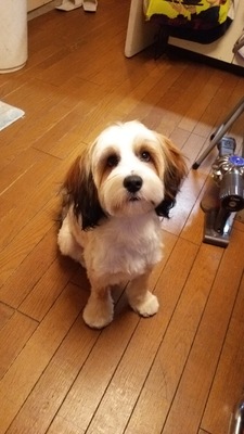 ケリーくん☆