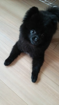 キューちゃん☆