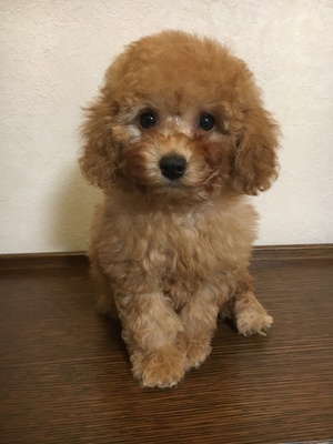 ☆らいはちゃん☆