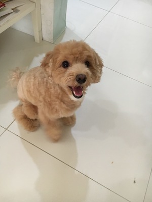 ☆プーちゃん☆