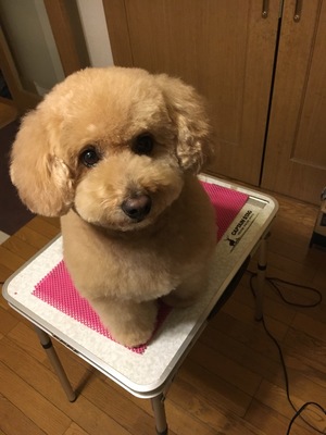 ☆海くん☆