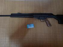 ＰＳＧ-1画像