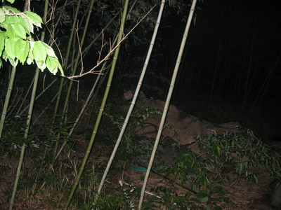 １・・遺棄があった場所