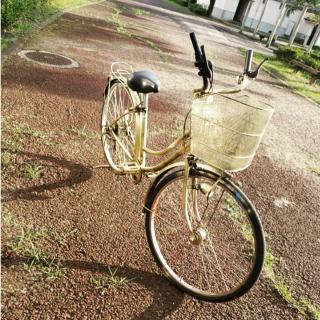 入隊希望画像