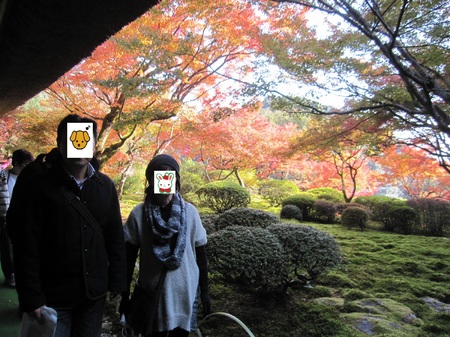 2014年11月18日 紅葉狩り 九年庵