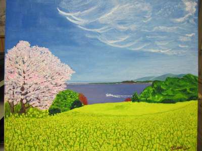 2013年3月　能古の桜
