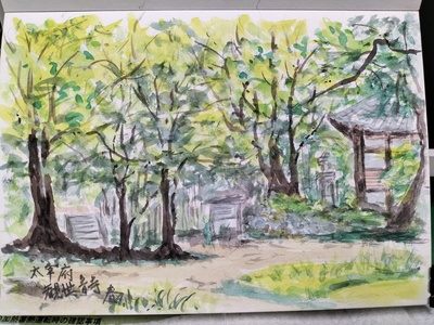 2024年4月 太宰府,観世音寺