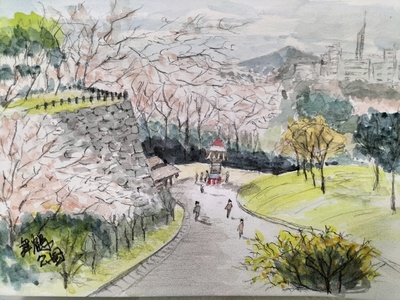 2024年5月 福岡市舞鶴公園