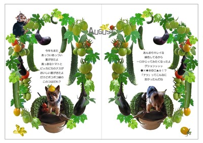 絵本　中味(12-13頁)