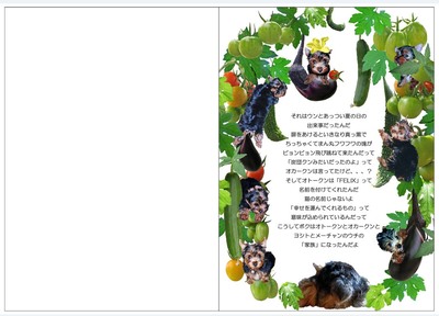 絵本　中味（1頁）