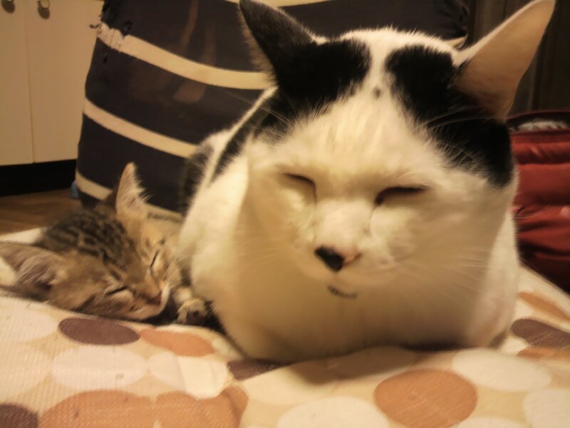 IMG_0684.jpeg