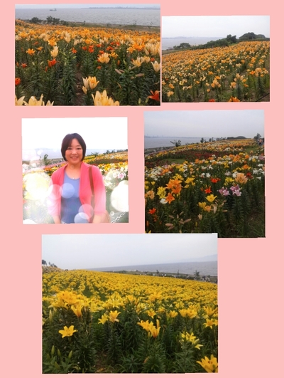 ゆり園に行ってきました~)^o^(