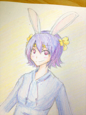 アナログ兎（偽うさぎ）