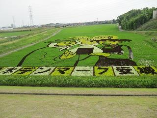 田圃アート画像