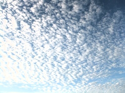 早天祈祷後の鱗雲　その１