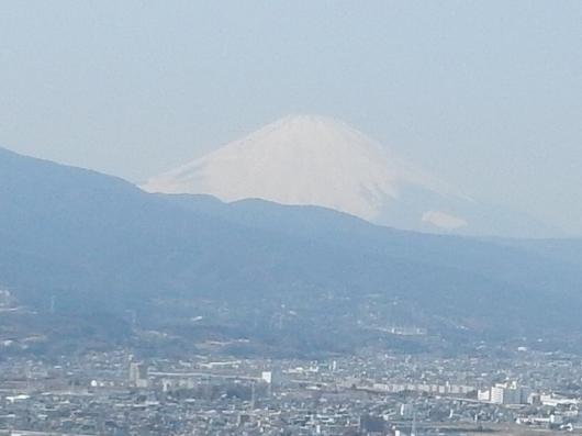14日（土）は活動します！画像